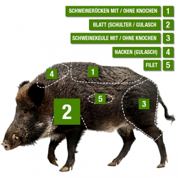 Wildschweinschulter ohne Knochen Übersicht